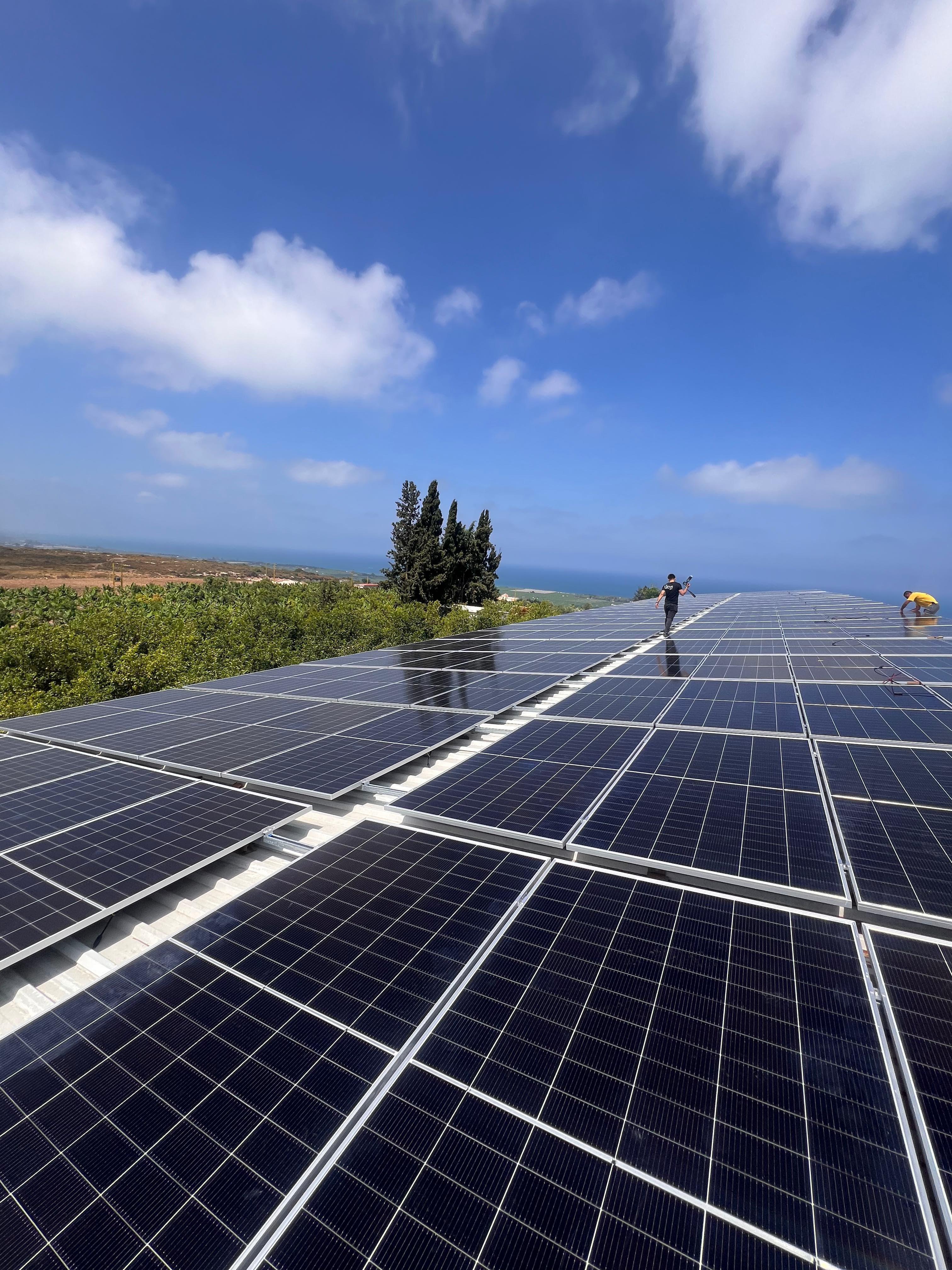 Levant Beverage and Dairy Industries SAL